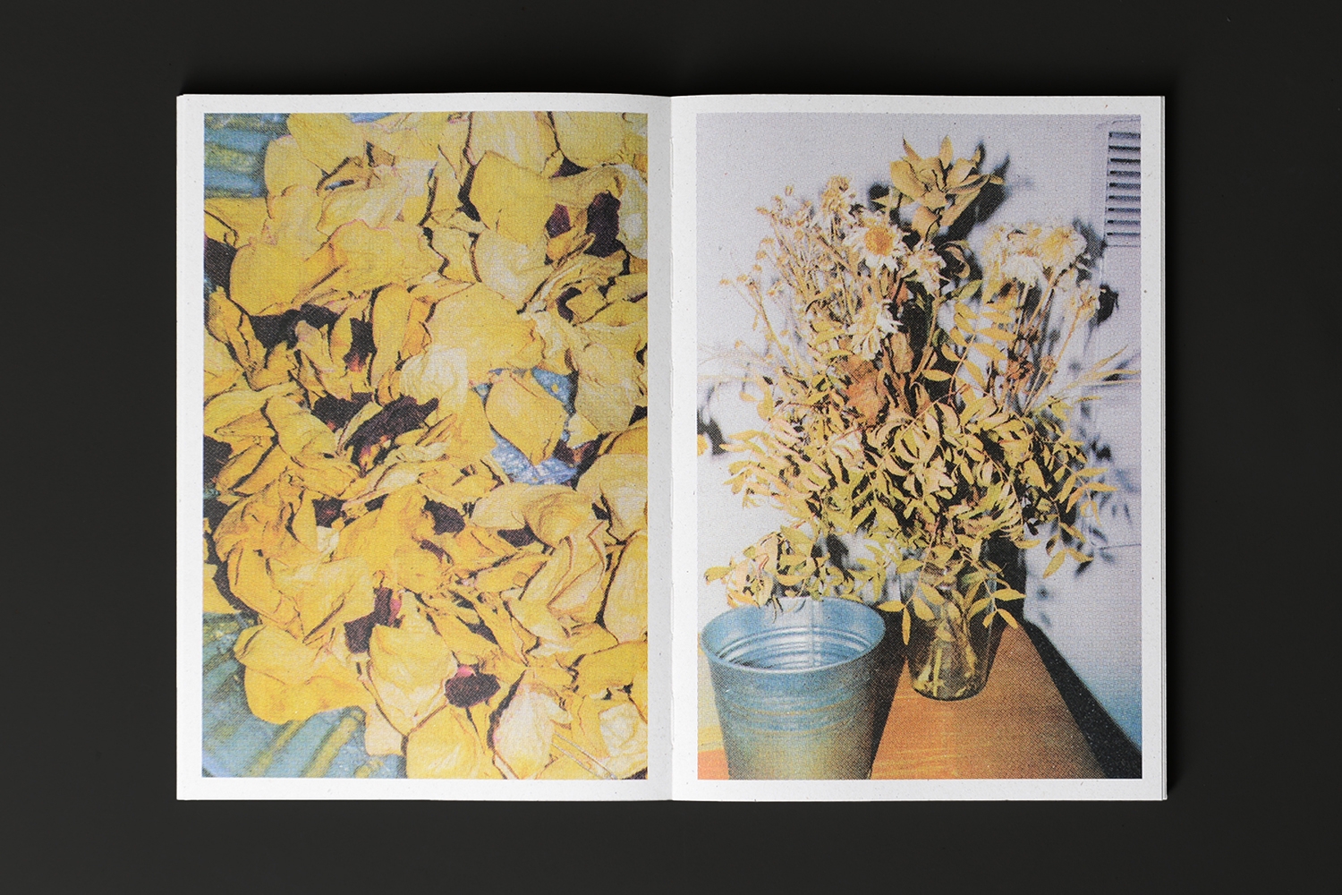 Catalogue